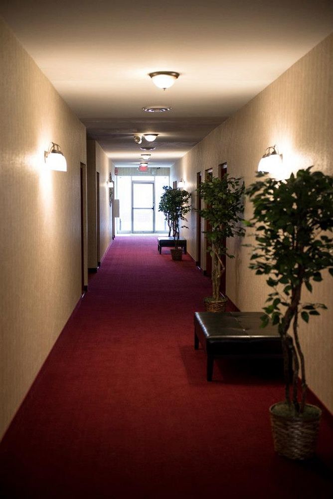 Pacer Inn & Suites Motel Delaware Exteriér fotografie